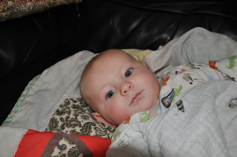 William's Twenty-Second Week 18.jpg